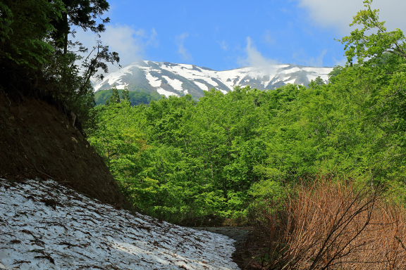 山ノ内林道