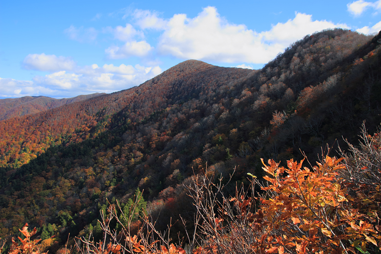 高畠駒ヶ岳