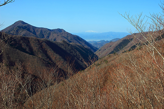 堂木沢山、遥かに月山