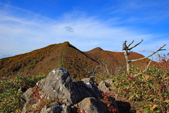 ハマグリ山