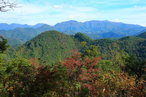 大岡山