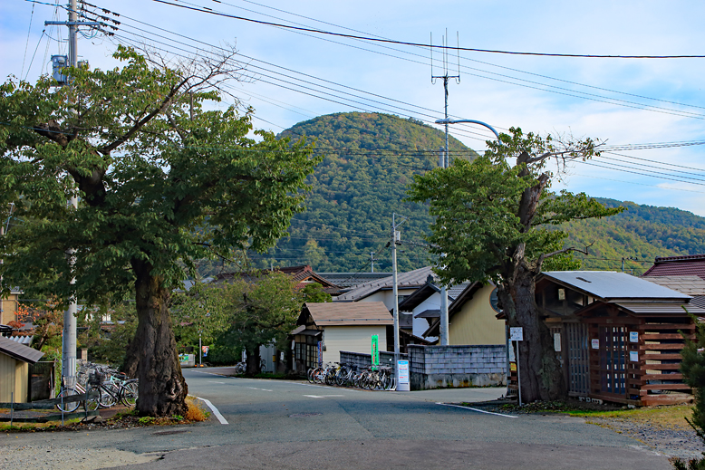 大岡山