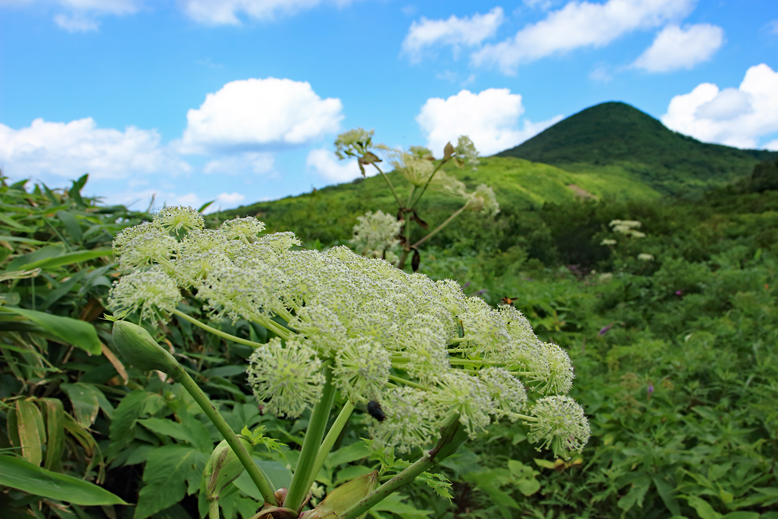 山形神室岳
