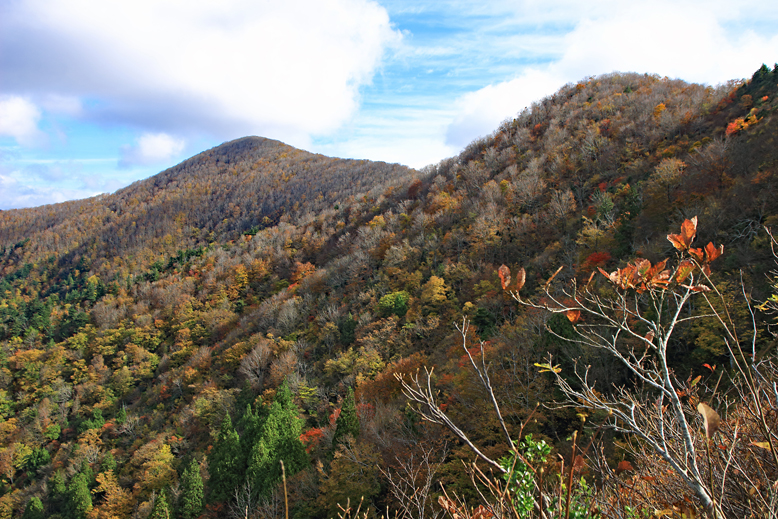 高畠駒ヶ岳