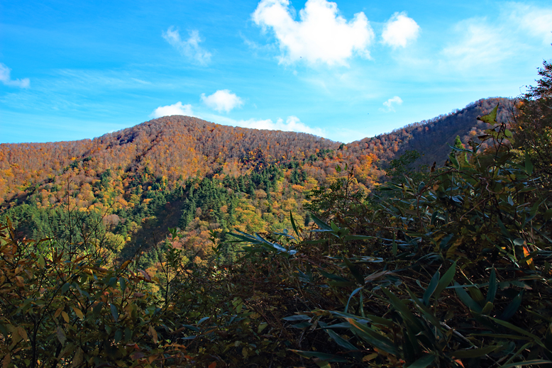 高畠駒ヶ岳