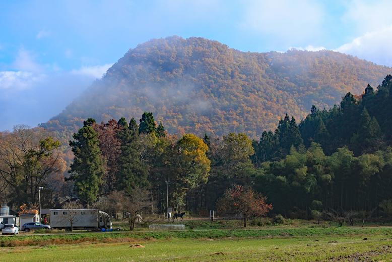 高楯地区里山