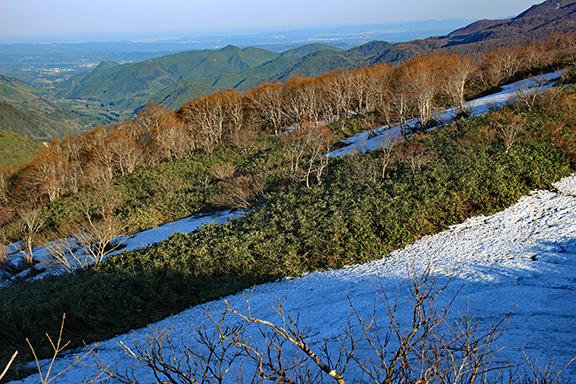 ハマグリ山の残雪