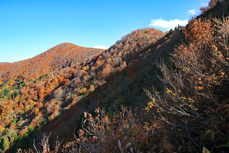 高畠駒ヶ岳