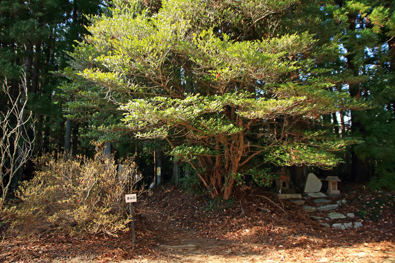 深山