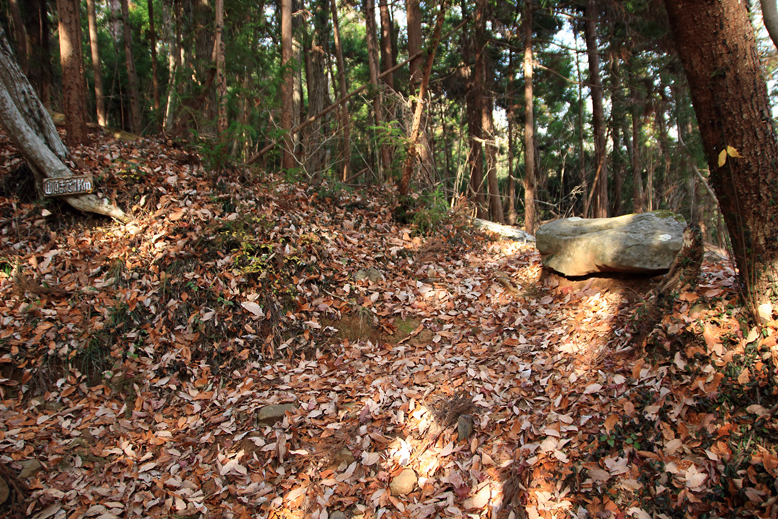 深山
