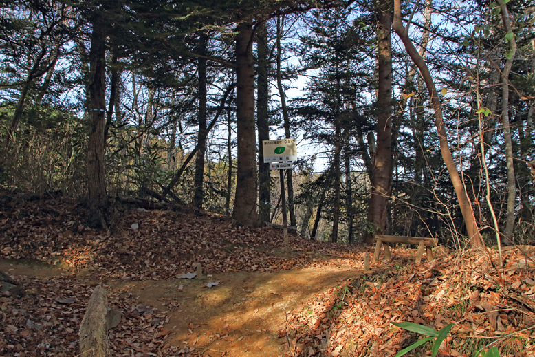 深山