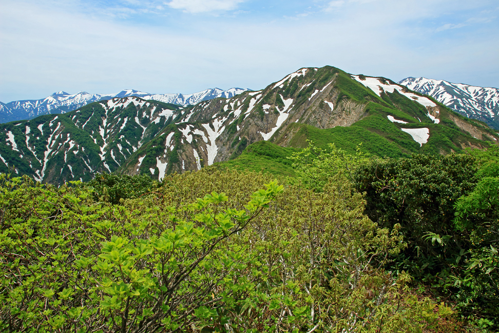 障子ヶ岳と朝日連峰