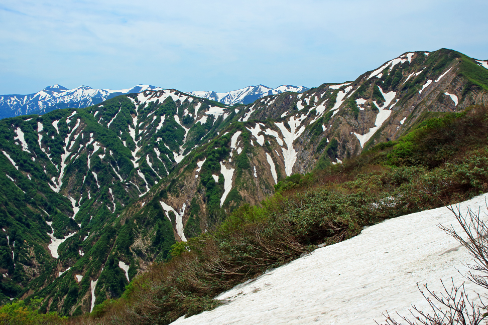 障子ヶ岳と朝日連峰