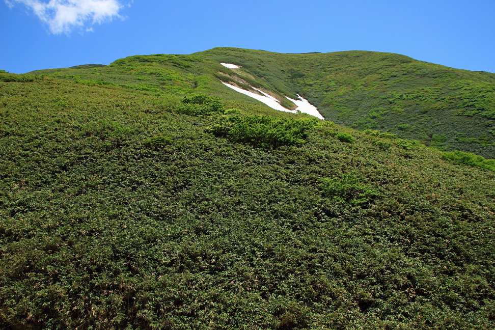 月山