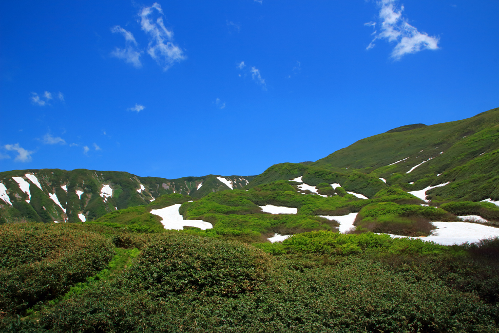月山