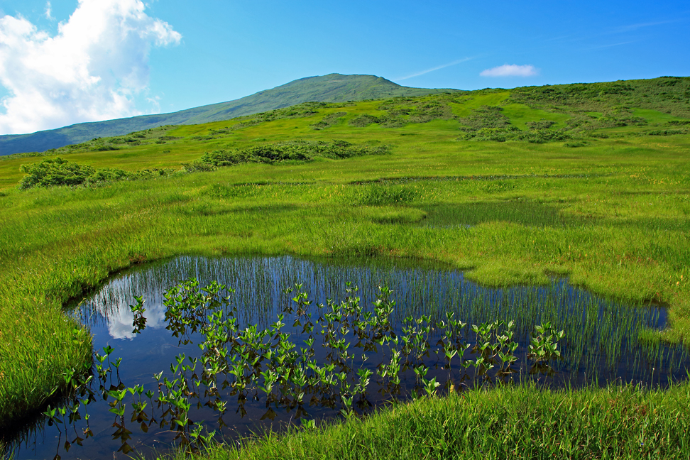 月山 弥陀ヶ原の池塘群