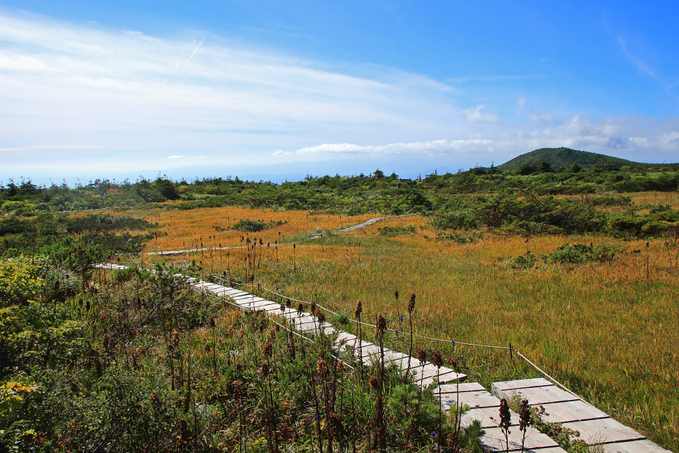 蔵王 御田ノ神湿原
