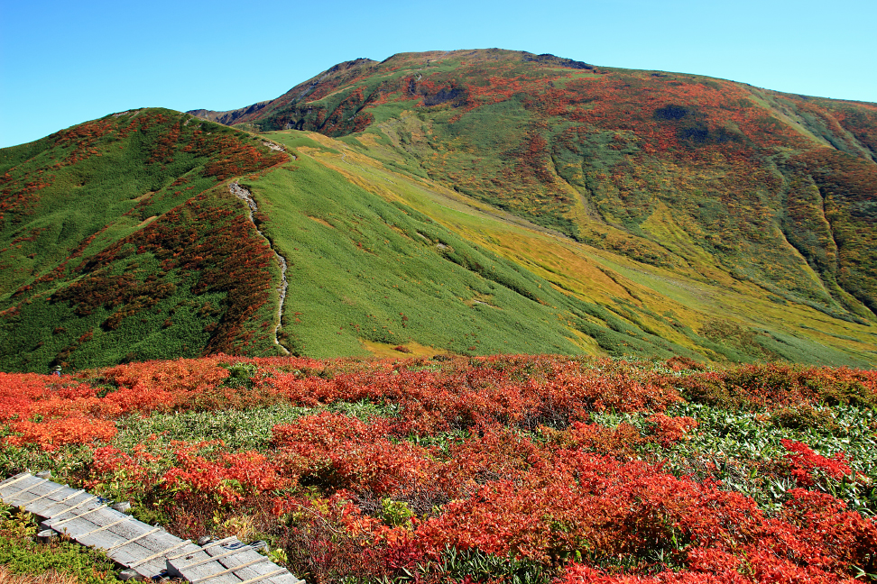 金姥の紅葉と月山
