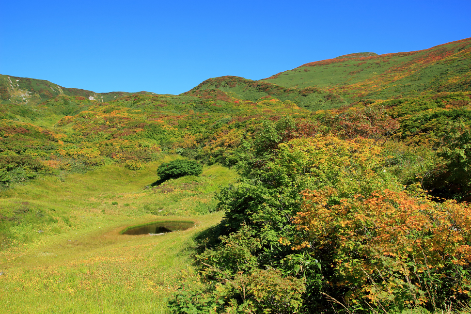 月山 姥ヶ岳