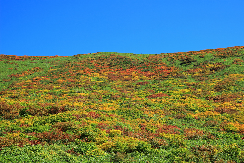 月山 姥ヶ岳