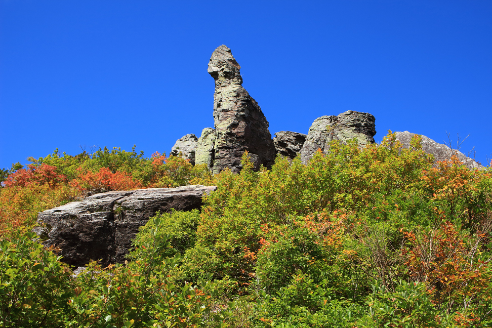 月山 東補陀落