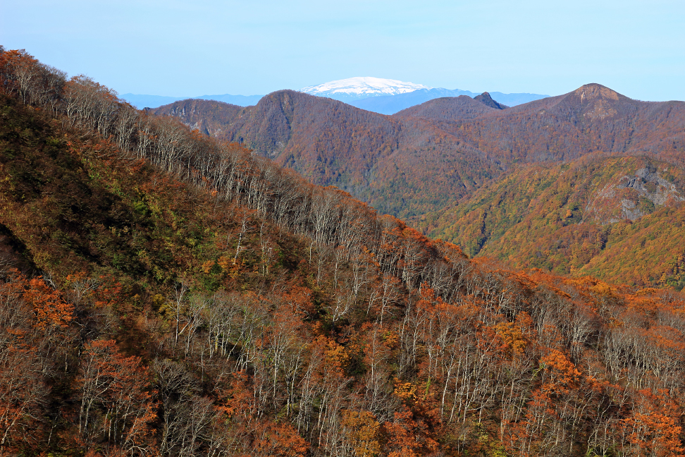 黒伏山南壁