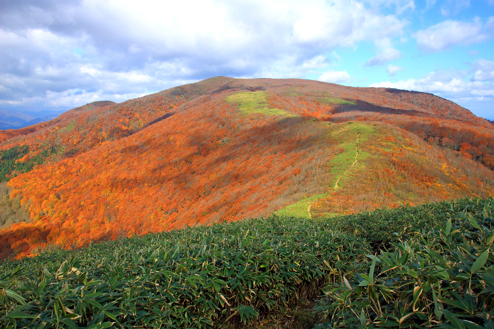 翁山 紅葉