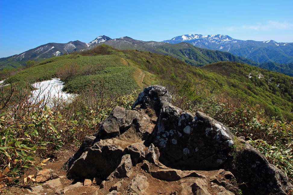 ハマグリ山から蔵王連峰を望む