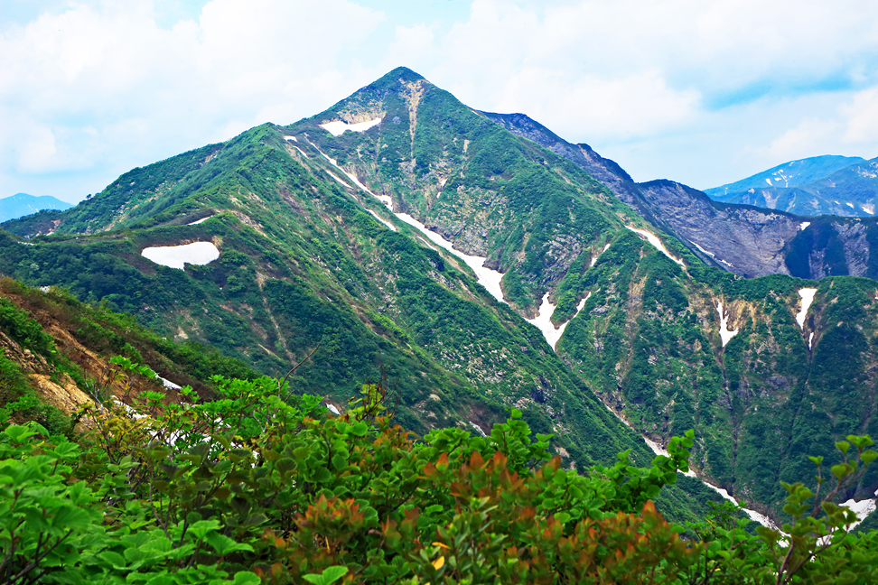 粟畑東稜から望む障子ヶ岳