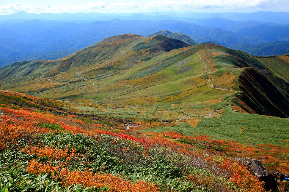 鍛冶月光から姥ヶ岳を望む