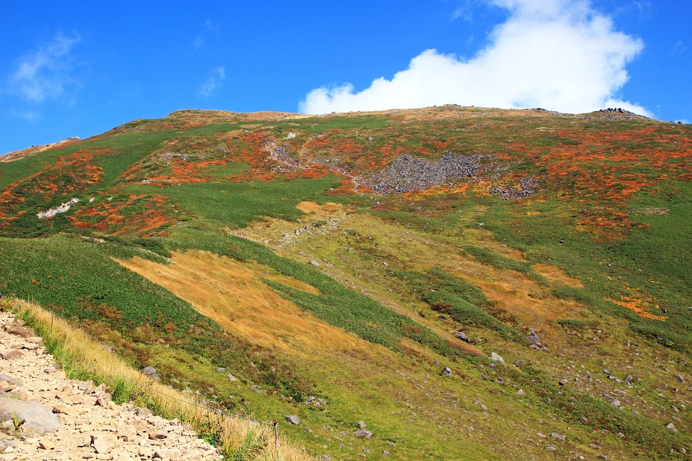 紅葉の月山本峰