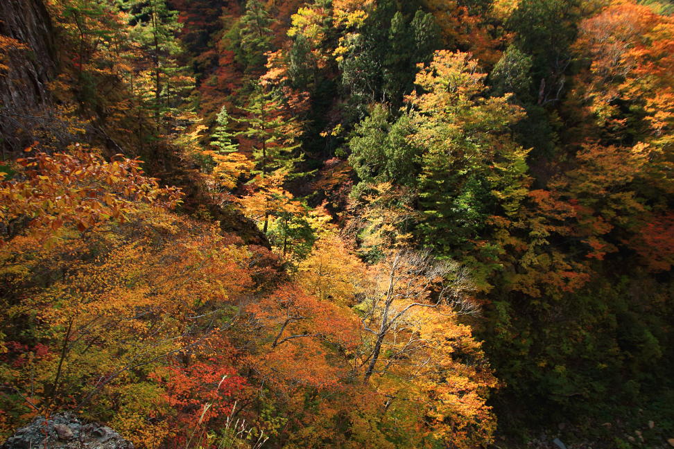 道元峡の紅葉