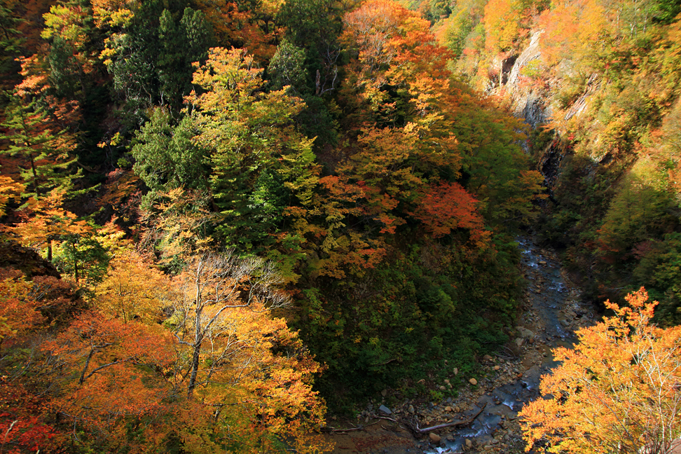 紅葉の道元峡