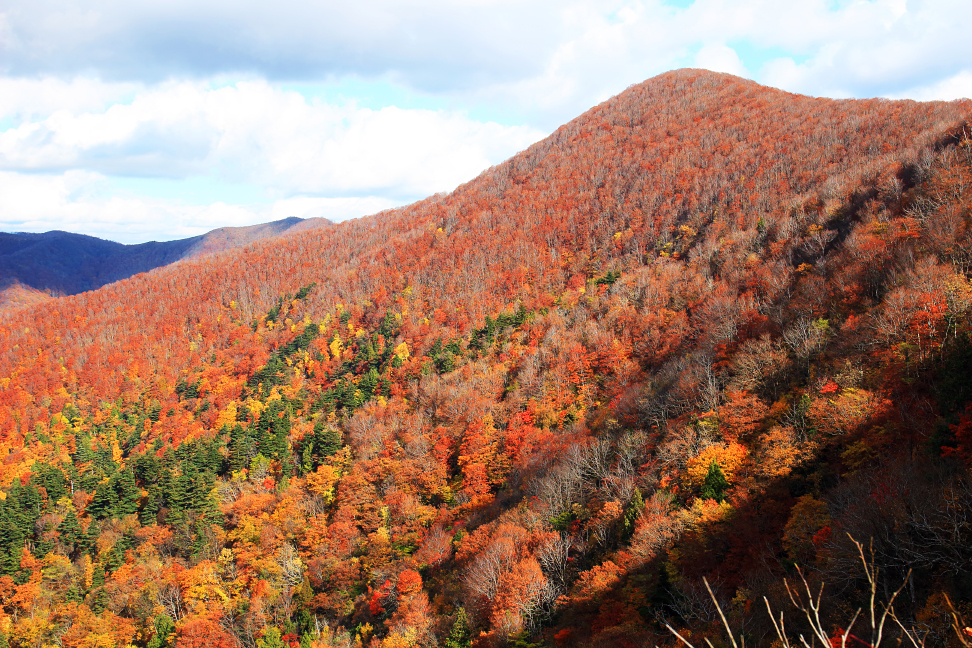 紅葉真っ盛りの駒ヶ岳