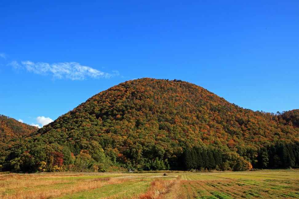 秋色の大岡山