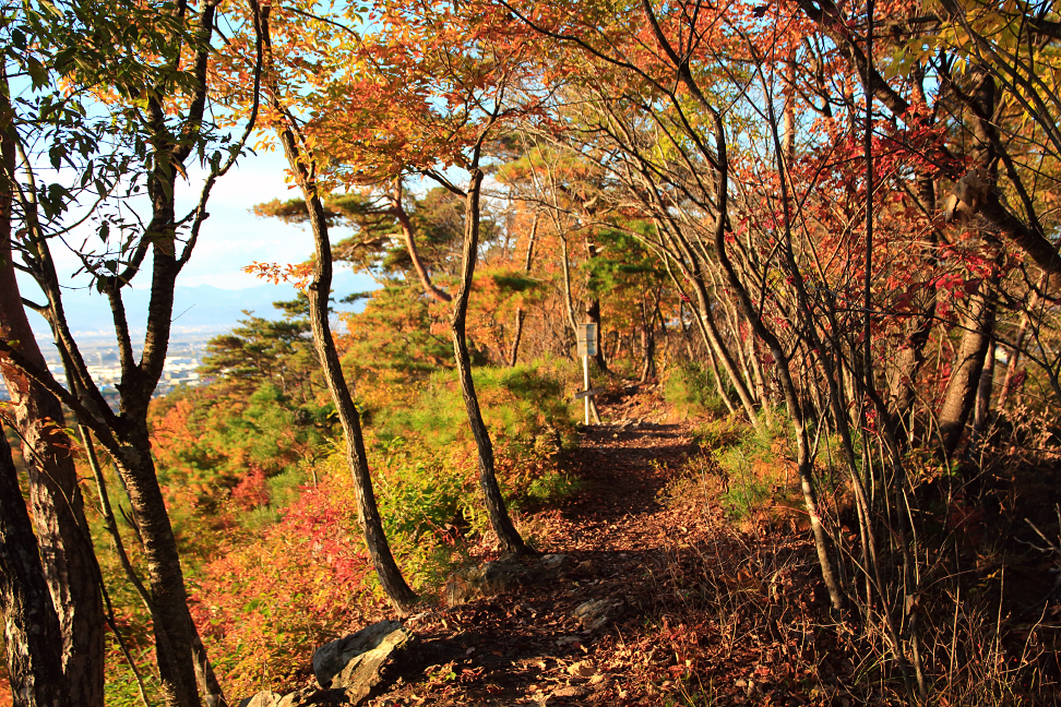 紅葉のプロムナード（石ポロ山見晴し台）
