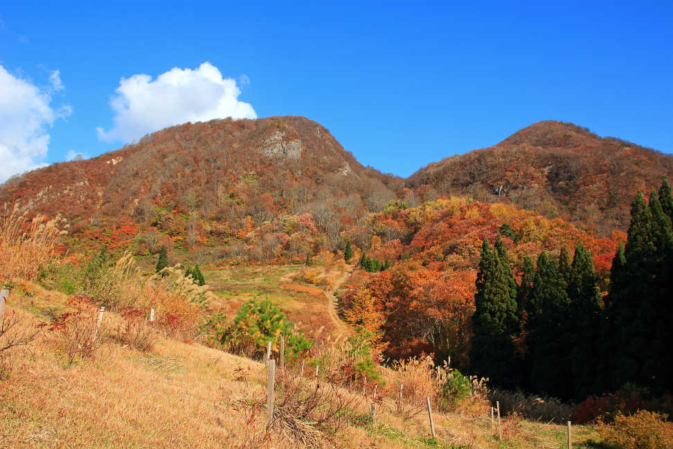 左「男山」、右「女山」
