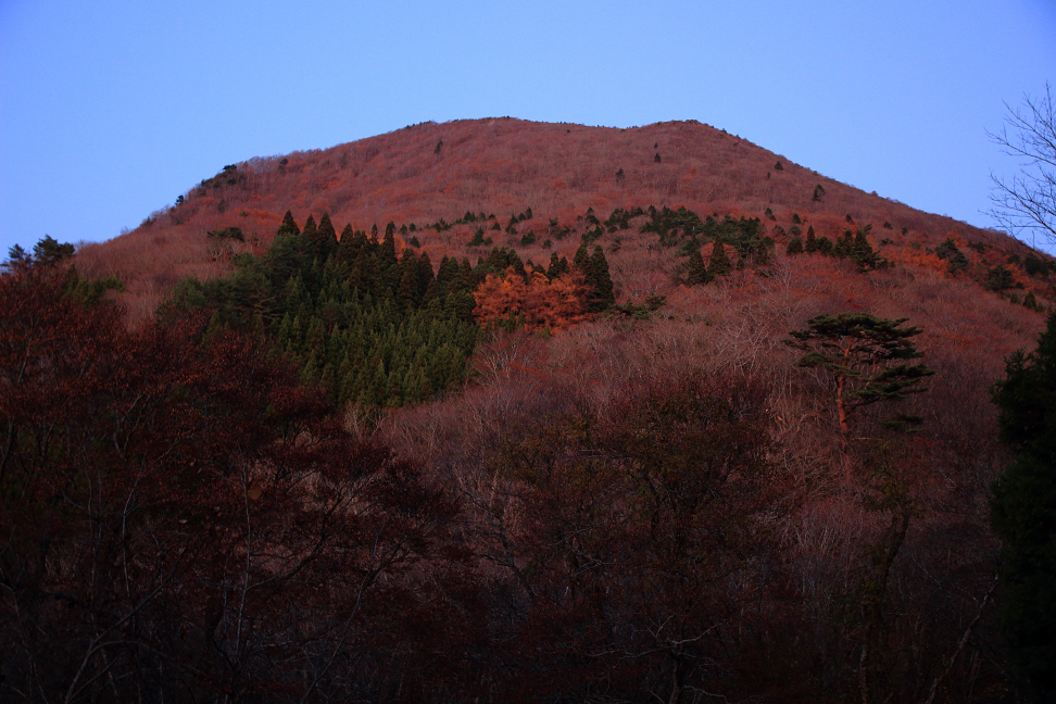 残照の大関山
