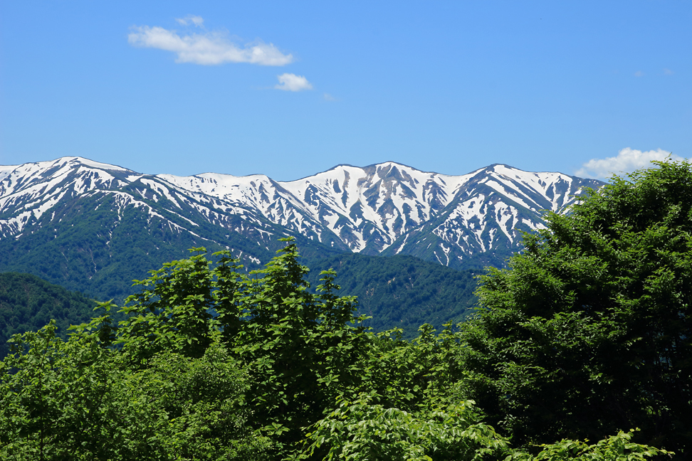 大頭森山