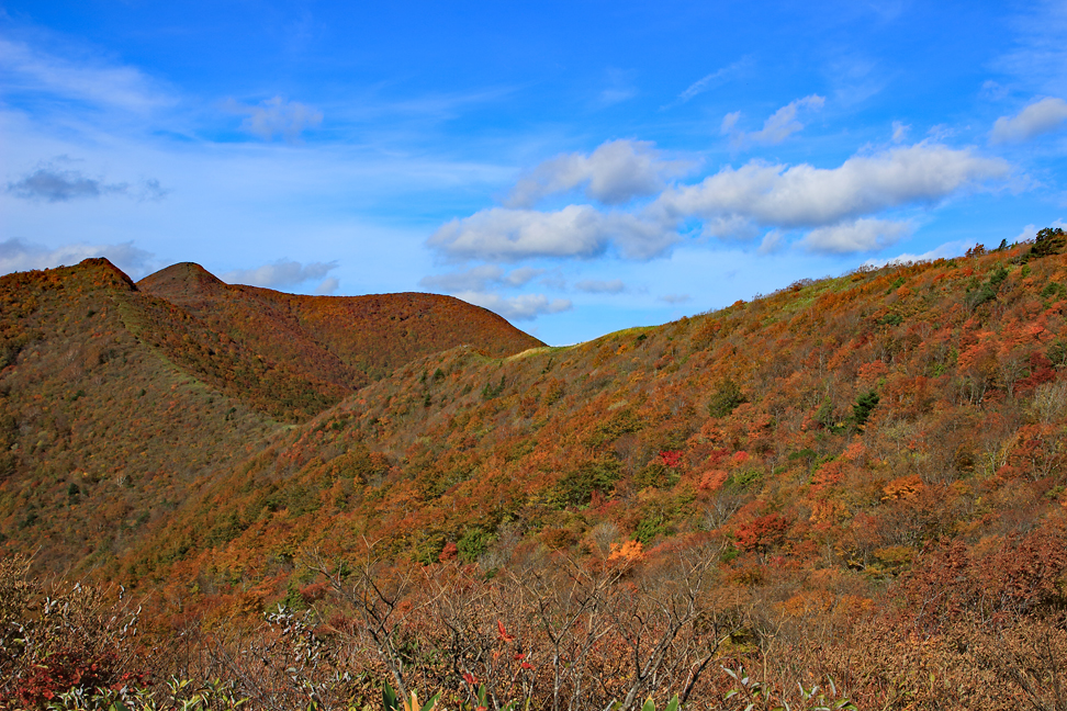 ハマグリ山