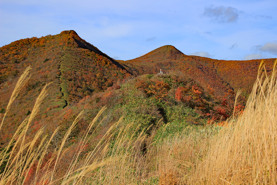 ハマグリ山