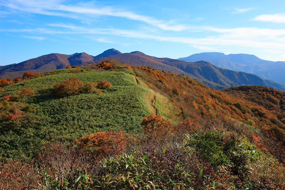 ハマグリ山