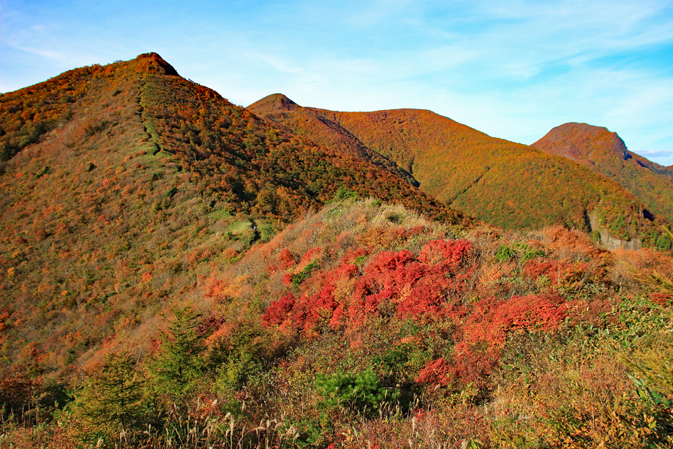 ハマグリ山