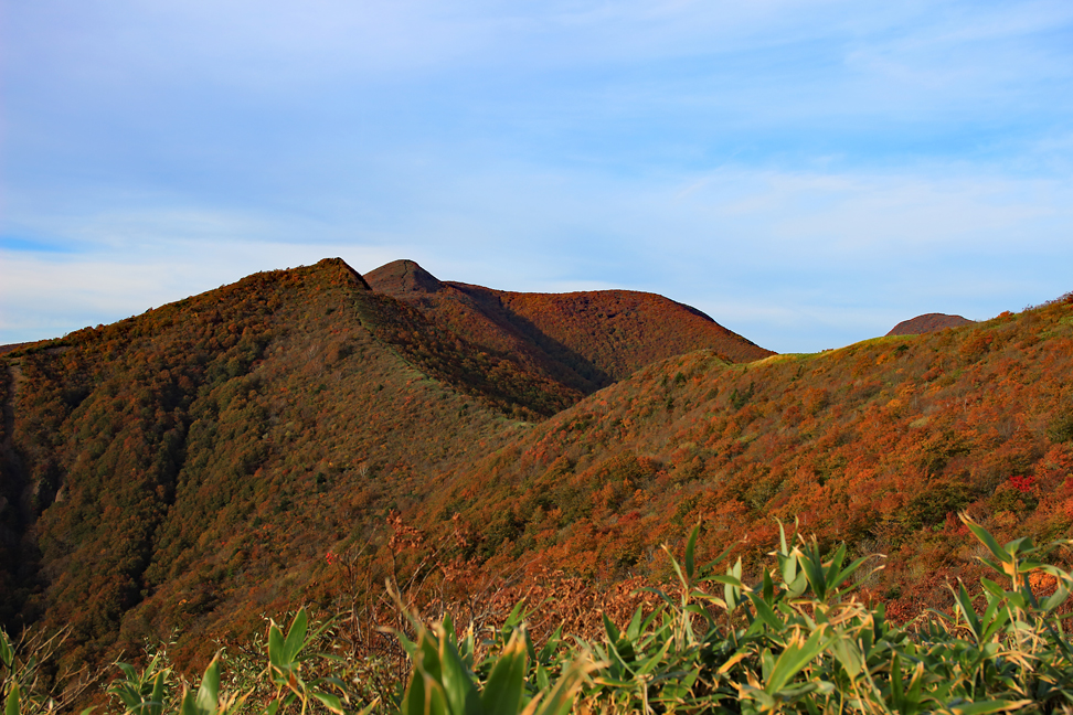 ハマグリ山
