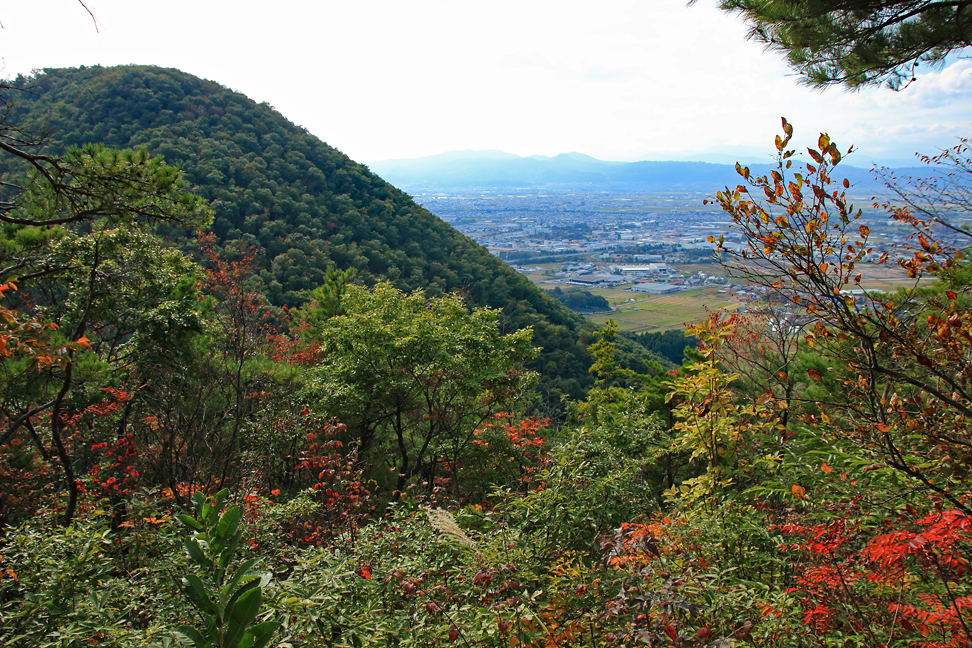大岡山