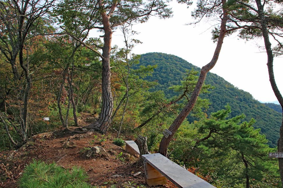 大岡山