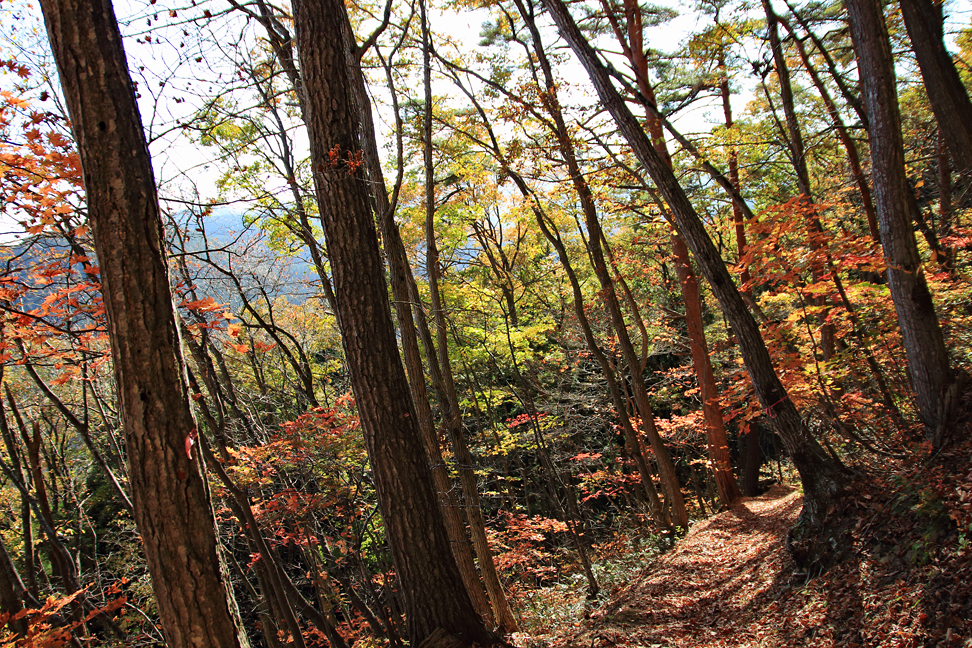 東黒森山
