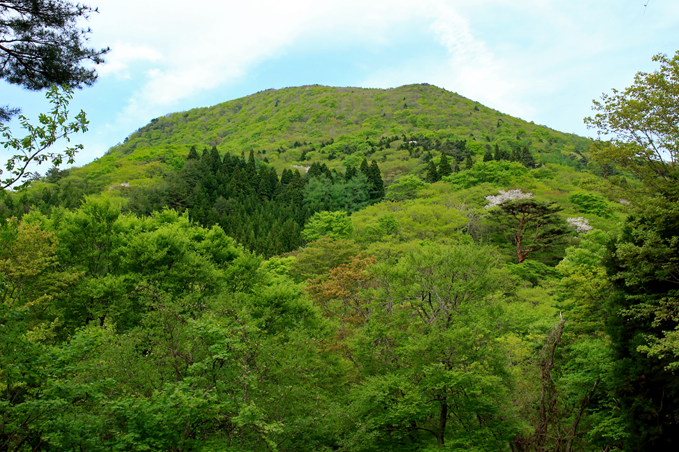 大関山