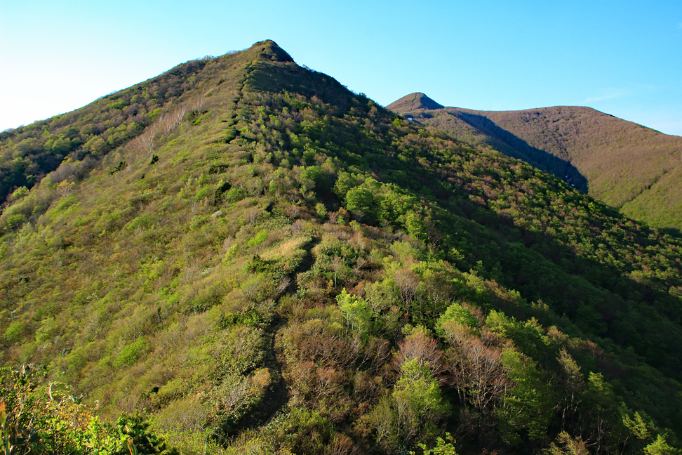 ハマグリ山