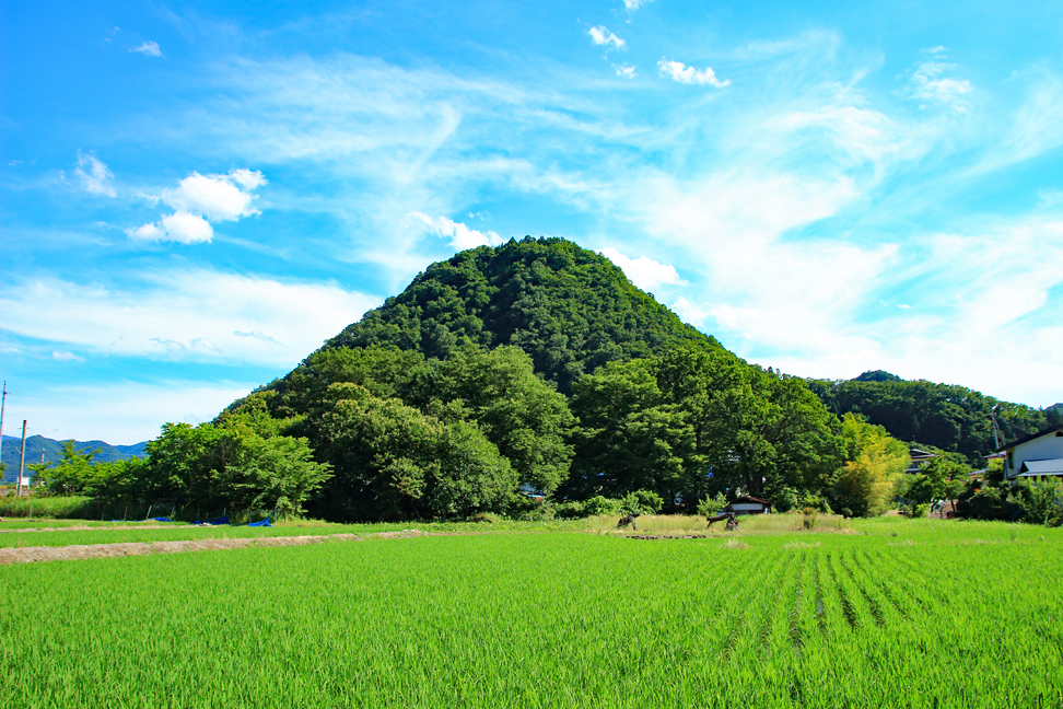 猪鼻山